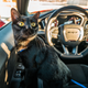 Image for article titled The 2018 Dodge Challenger SRT Hellcat Widebody Never Lets You Forget Who's Really In Control